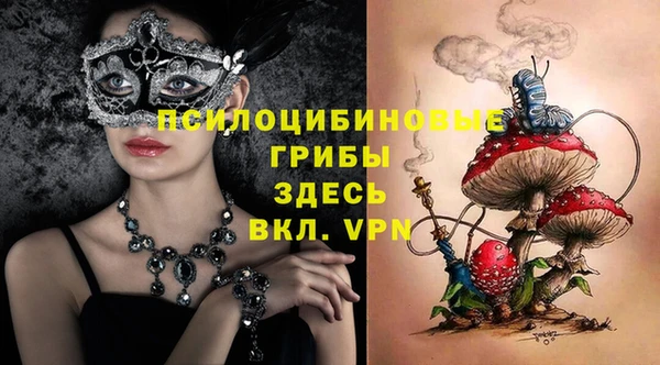 сатива Алексин