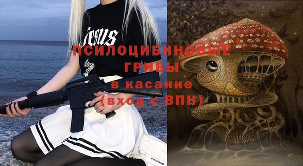 сатива Алексин