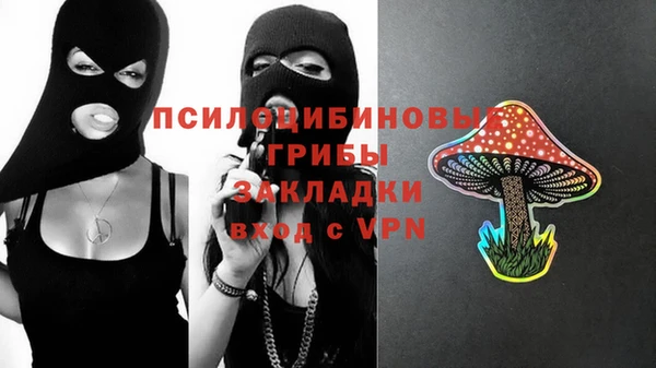 гидра Алексеевка