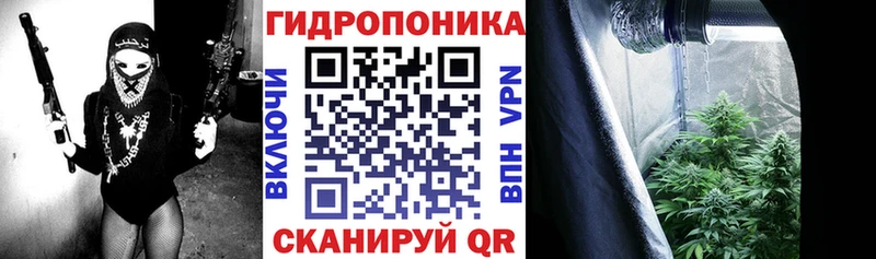 где продают наркотики  Красноярск  Бошки марихуана VHQ 